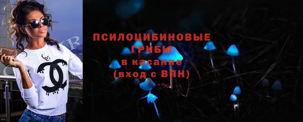 шишки Алзамай
