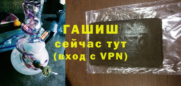 прущие грибы Абаза