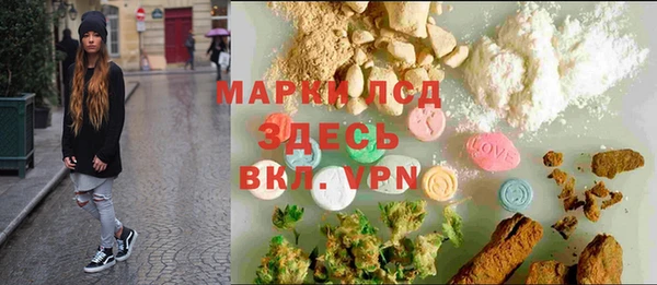 прущие грибы Абаза