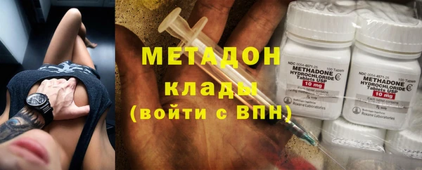 прущие грибы Абаза